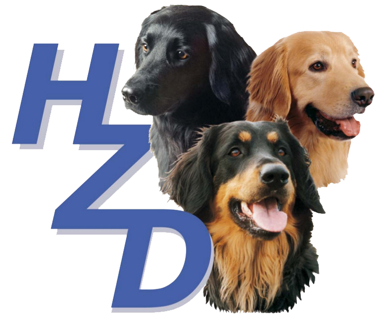hzd_logo